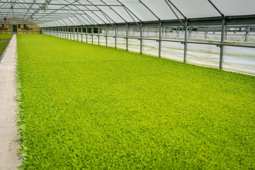 脂粉世家解析南京日化品生产质量管控的关键环节